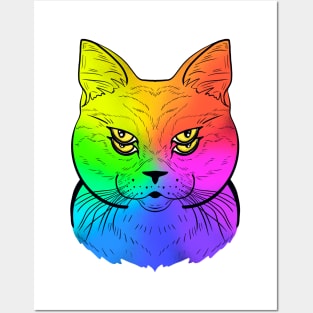 The Color Spectrum Cat Posters and Art